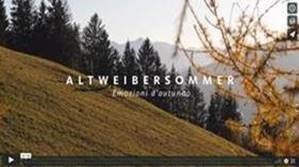 Altweibersommer – Tourismusverein Schenna