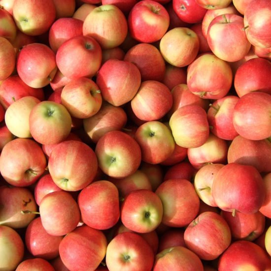 Erntezeit: Was Sie für Ihre Gäste aus Äpfeln zaubern können