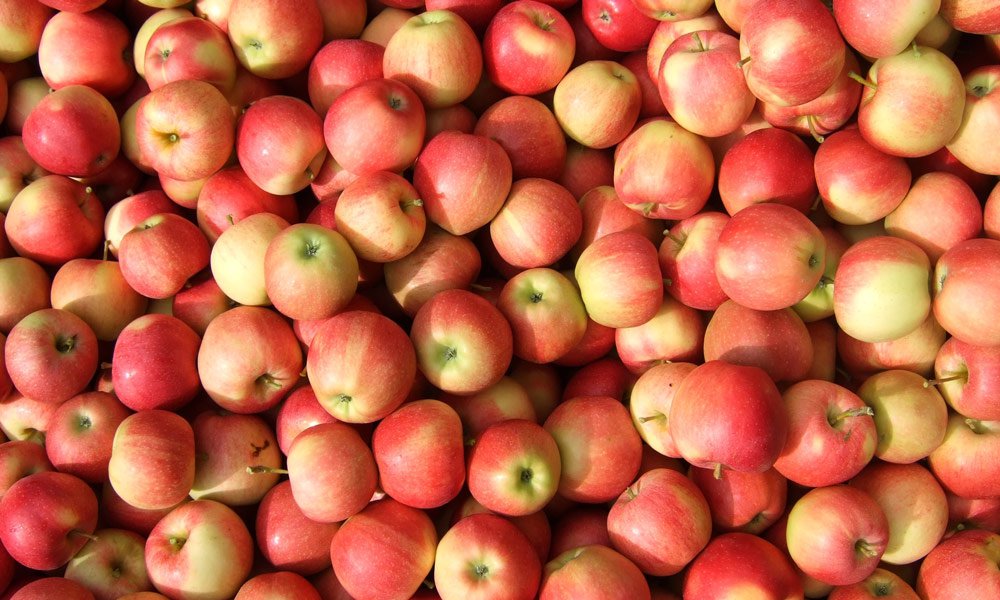 Erntezeit: Was Sie für Ihre Gäste aus Äpfeln zaubern können
