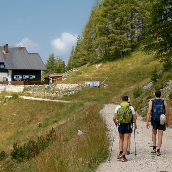 Den eigenen Hof zum Ferienparadies machen – setzen Sie Schwerpunkte