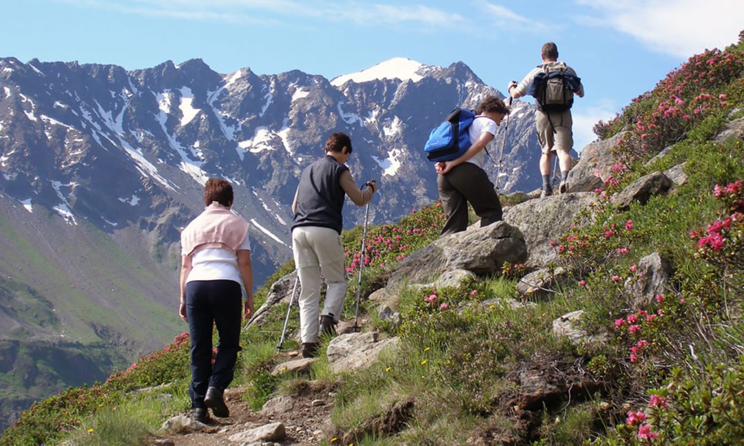 Rauf auf die Alm – Wanderungen für Ihre Gäste organisieren