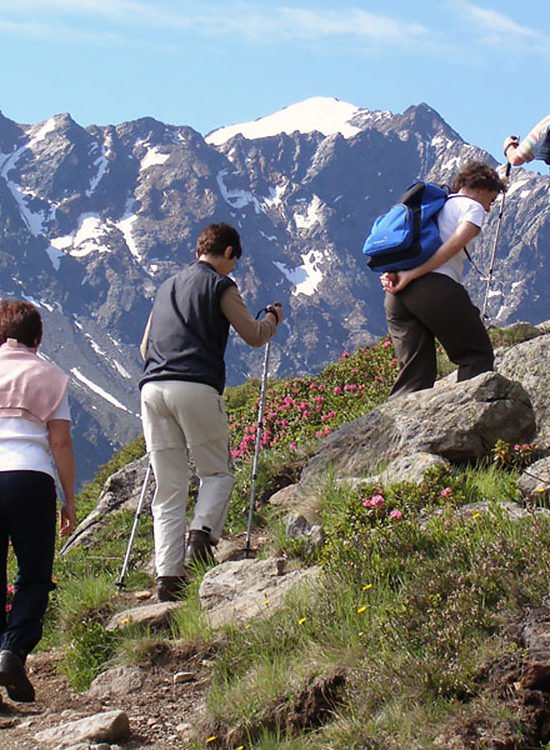 Rauf auf die Alm – Wanderungen für Ihre Gäste organisieren