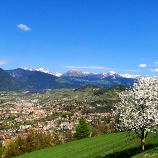 Der Frühling ist da!