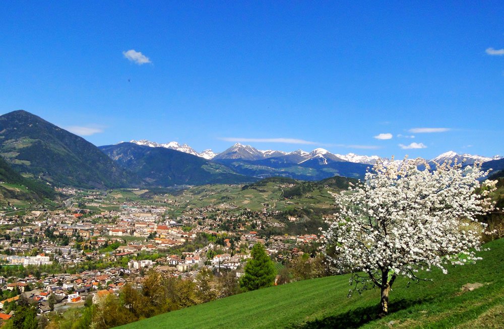 Der Frühling ist da!